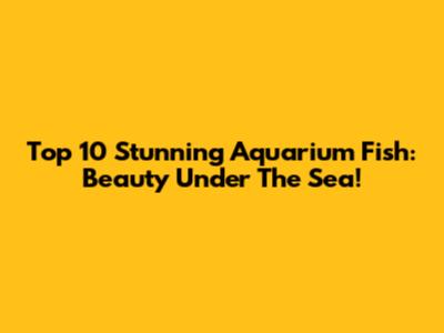 Top 10 Stunning Aquarium Fish: Beauty Under The Sea!
