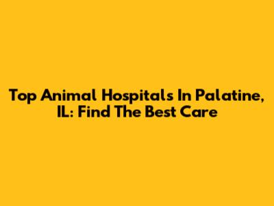 Top Animal Hospitals In Palatine, IL: Find The Best Care
