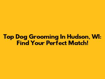 Top Dog Grooming In Hudson, WI: Find Your Perfect Match!