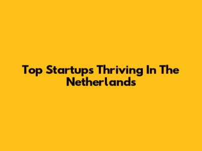 Top Startups Thriving In The Netherlands