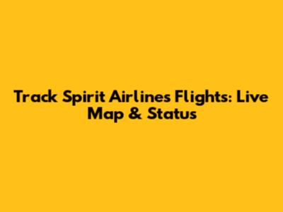 Track Spirit Airlines Flights: Live Map & Status