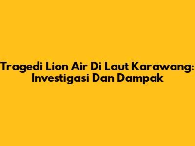 Tragedi Lion Air Di Laut Karawang: Investigasi Dan Dampak