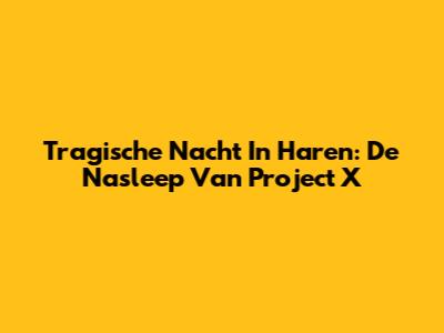 Tragische Nacht In Haren: De Nasleep Van Project X