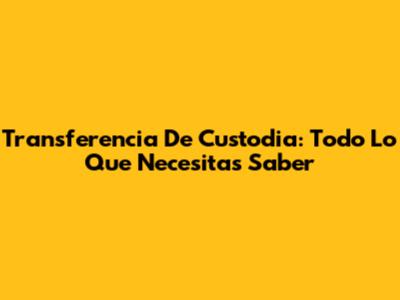 Transferencia De Custodia: Todo Lo Que Necesitas Saber