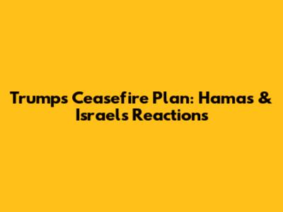Trump's Ceasefire Plan: Hamas & Israel's Reactions