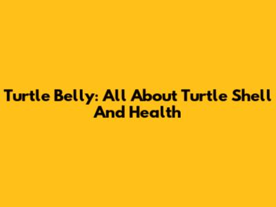 Turtle Belly: All About Turtle Shell And Health