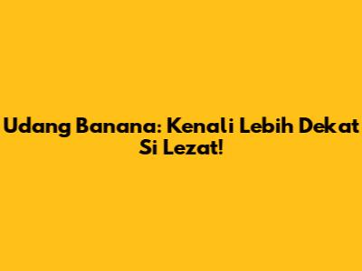 Udang Banana: Kenali Lebih Dekat Si Lezat!