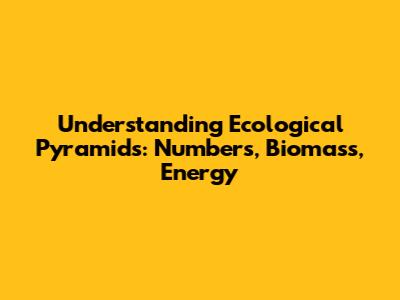 Understanding Ecological Pyramids: Numbers, Biomass, Energy