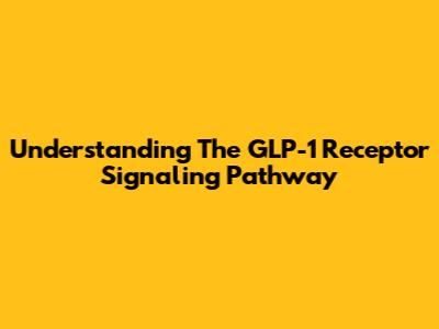 Understanding The GLP-1 Receptor Signaling Pathway