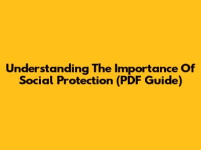 Understanding The Importance Of Social Protection (PDF Guide)
