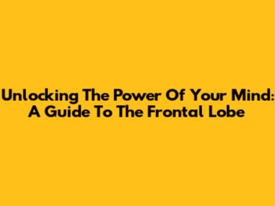Unlocking The Power Of Your Mind: A Guide To The Frontal Lobe