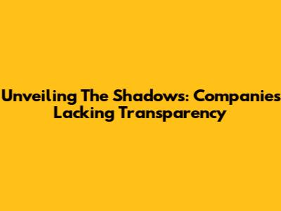 Unveiling The Shadows: Companies Lacking Transparency