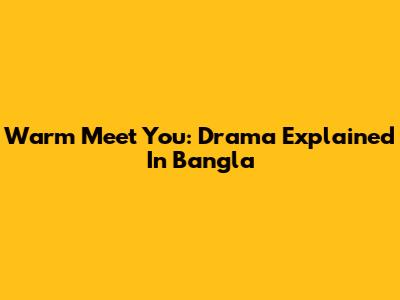 Warm Meet You: Drama Explained In Bangla