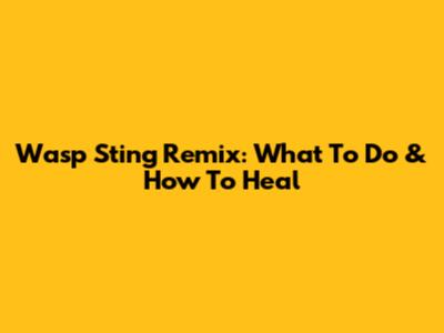 Wasp Sting Remix: What To Do & How To Heal