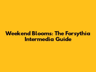 Weekend Blooms: The Forsythia Intermedia Guide