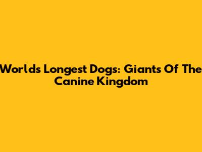 World's Longest Dogs: Giants Of The Canine Kingdom