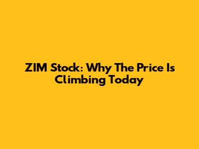 ZIM Stock: Why The Price Is Climbing Today