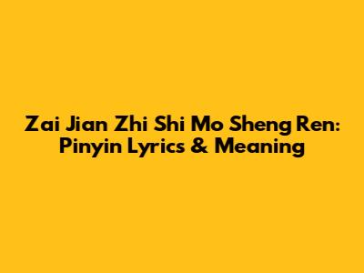 Zai Jian Zhi Shi Mo Sheng Ren: Pinyin Lyrics & Meaning
