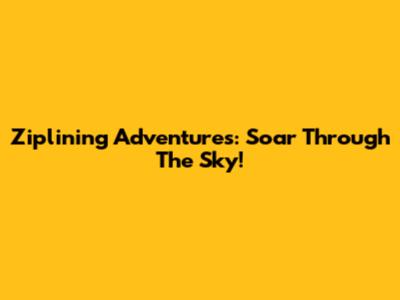 Ziplining Adventures: Soar Through The Sky!